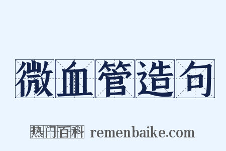 微血管造句是什么意思的图片